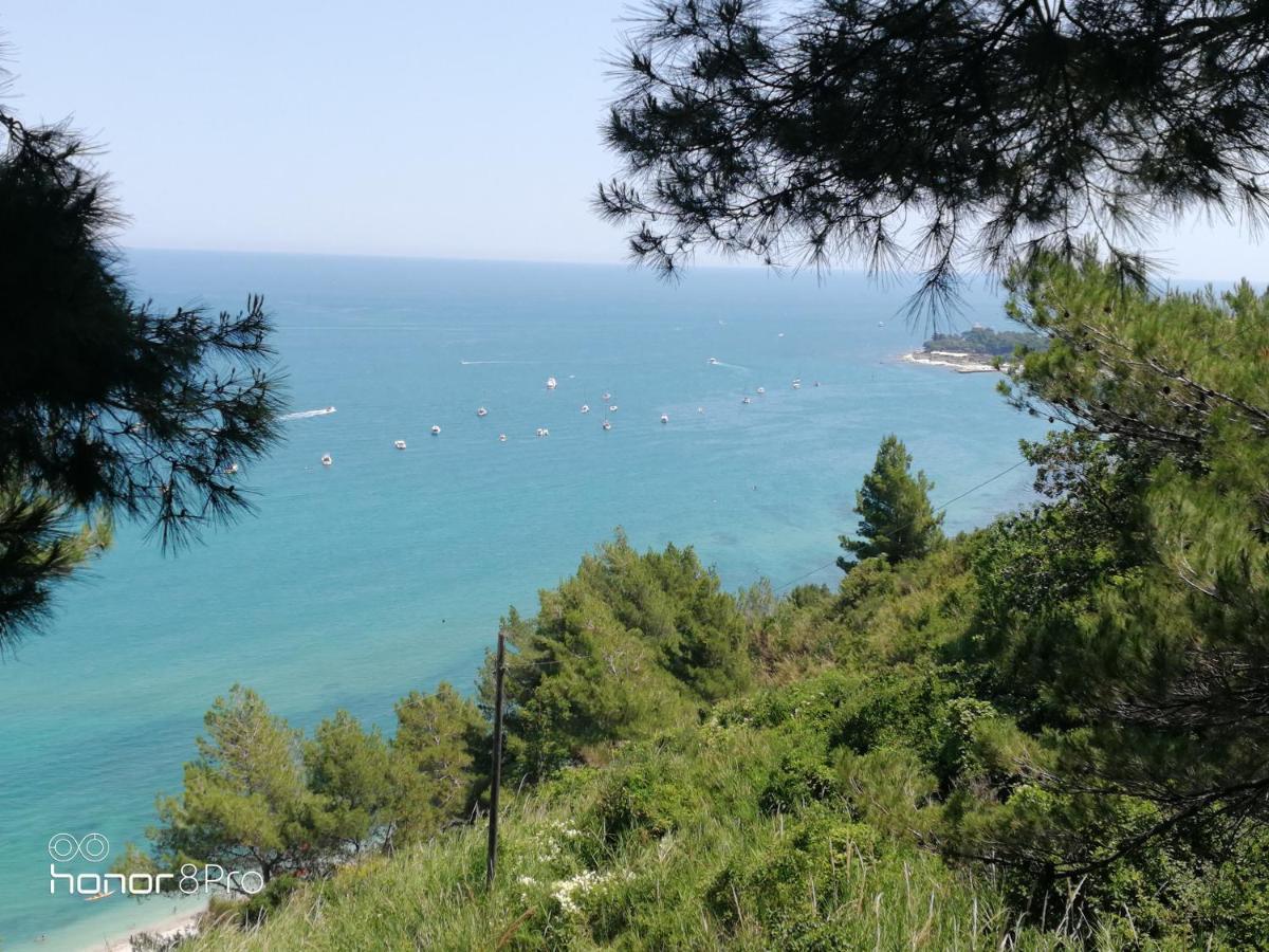 Casa Viorica 2 Hotell Ancona Eksteriør bilde